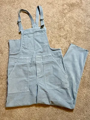 Aerie Werk & Play Corduroy Overalls thumbnail 8