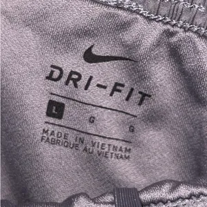 Nike Dri-Fit Shorts thumbnail 2