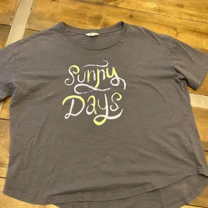 Wildfox Sunny Days graphic tee shirt sleeve‎ gray size XL thumbnail 2