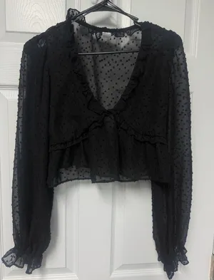 H&M Black Sheer Ruffled Blouse thumbnail 1