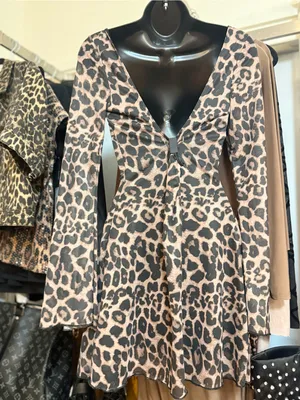 Leopard Print Long Sleeve Mini Dress in Taupe & Black thumbnail 2