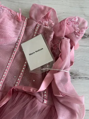 Warm Notices Quinceanera/Ball Gown Dusty Pink Size 8 NWT thumbnail 8