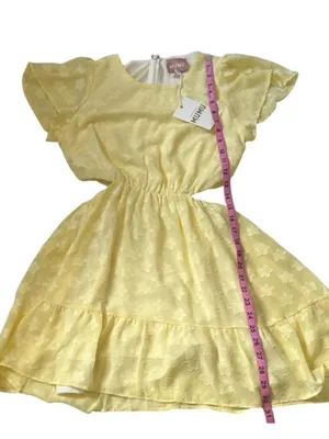 Show Me Your Mumu Merritt Mini Dress thumbnail 10
