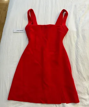 Princess Polly Red Mini Dress thumbnail 1