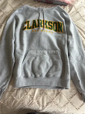 Champion Clarkson Hoodie thumbnail 1