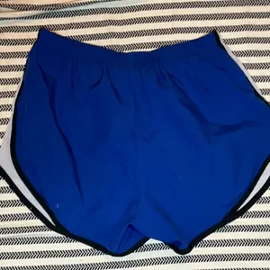 Nike Dri-FIT Royal Blue Shorts‎ thumbnail 4