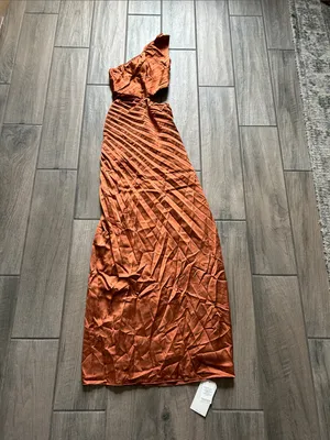 Abercrombie & Fitch Copper One-Shoulder Pleated Maxi Dress thumbnail 5