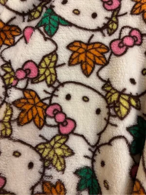 NWT Hello Kitty Hello Fall Plush Robe sz L thumbnail 6
