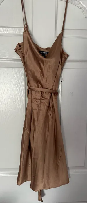 Express Satin Dress thumbnail 1