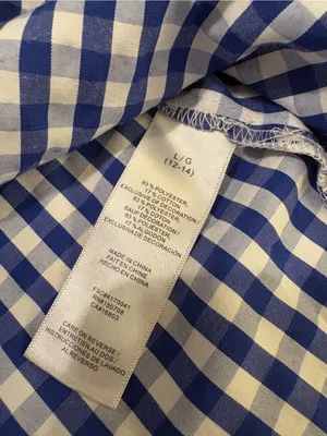 Blue Gingham Embroidered Women’s Blouse thumbnail 3