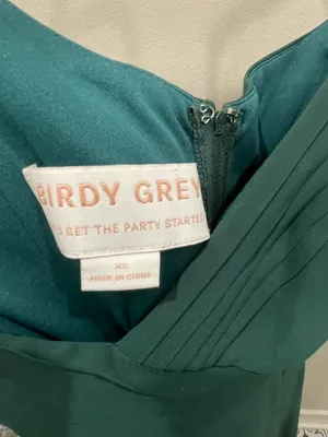 Birdy Grey Maxi Dress thumbnail 3