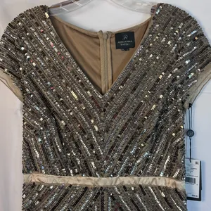 NWT Adrianna Papell Long Beaded‎ V-Neck Gown w/ Cap Sleeves & Waistband – Size 6 thumbnail 11