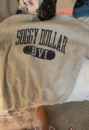 Hoodie Gray Size XS thumbnail 1