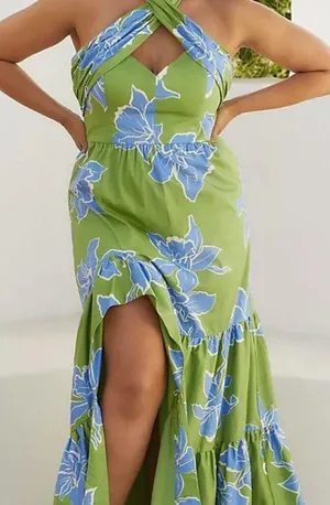 Anthropologie Hutch Floral Halter Maxi Dress NEW (green w/blue) thumbnail 1