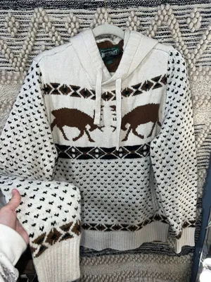American Eagle Sweater Hoodie thumbnail 1