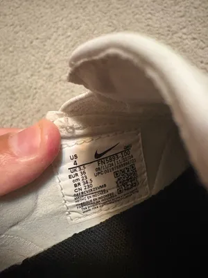 Nike SB Shoes thumbnail 4