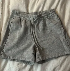Aritzia Shorts thumbnail 1