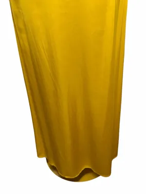 NWT CHASER Noemi‎ Mimosa Maxi Skirt, Small ($98) thumbnail 9