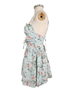 NEW Hello Molly Rosy Days Mini Dress Size 6 thumbnail 4