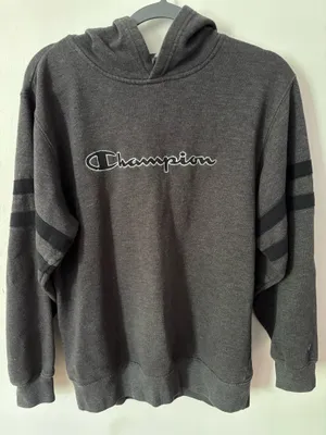 Champion Grey Striped Hoodie thumbnail 1