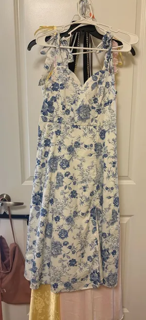 Francesca's Dress Floral thumbnail 1
