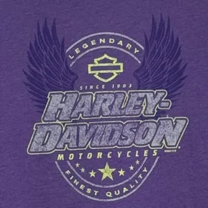 Harley-Davidson Motorcycles Fort Thunder Moore Oklahoma T-Shirt Purple Small thumbnail 2