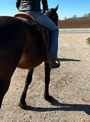 Wrangler Bootcut Jeans thumbnail 7