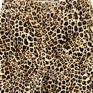 Charter Club Leopard Print Straight Leg Pants(Size 6) thumbnail 6