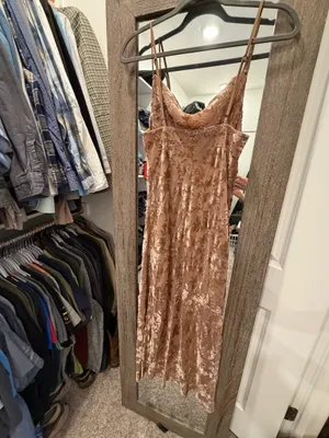 Vici Velvet Burnout Dress thumbnail 4