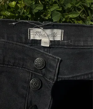 Madewell Shorts thumbnail 2