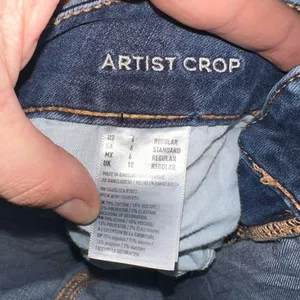American Eagle distressed basic Artist crop size 6 jeans thumbnail 5