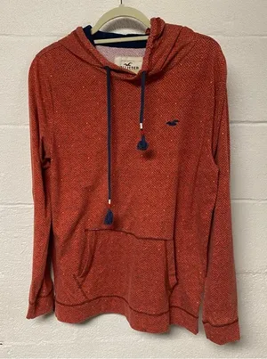 Hollister UNISEX Hoodie Size Medium thumbnail 1
