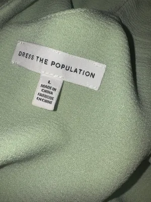 NEW Dress the Population Catalina Fit & Flare Cocktail Dress green Sage size L thumbnail 8