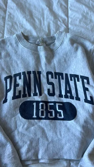 Cropped Champion Penn State Sweatshirt thumbnail 3