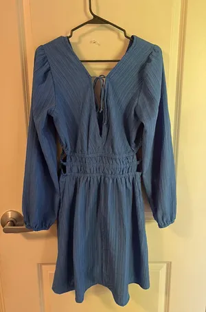 Hint of Blush Dress thumbnail 3