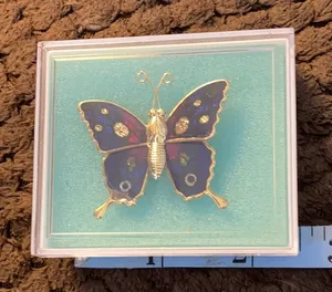 FINAL MARKDOWN butterfly pin thumbnail 1