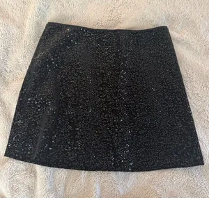 Zara Velvet Sequin Mini Skirt thumbnail 1
