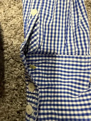 American Eagle Outfitters Blue Gingham Button-Down Shirt thumbnail 3