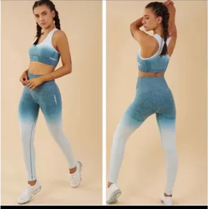 Gymshark Ombré Seamless Set thumbnail 2