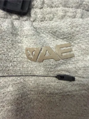 American Eagle Taupe Cozy Fleece Sweatshorts thumbnail 4