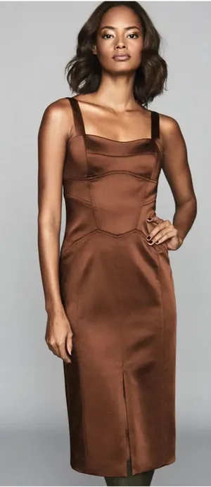 Reiss Madeleine Structured Dress Chocolate Brown thumbnail 1