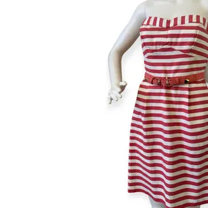 As You Wish Stripped Tube Dress thumbnail 4