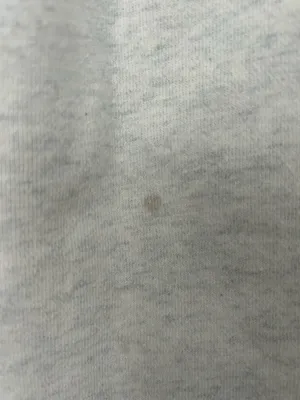 Brandy Melville Grey Sweatpants thumbnail 5