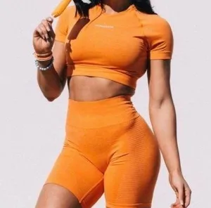 Alphalete OG Revival Orange Crop Top thumbnail 1