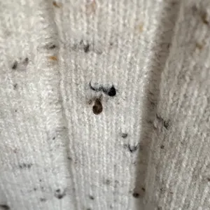 Madewell Donegal Bowden Henley Wool Blend‎ Sweater Coziest Yarn in Cream thumbnail 9