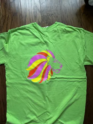 ADPi Comfort Colors T-Shirt BUNDLE thumbnail 6