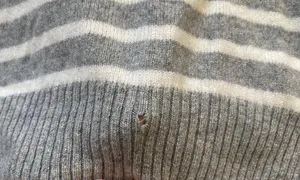 Striped Sweater thumbnail 4