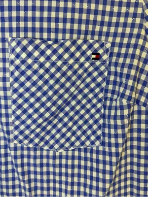 Tommy Hilfiger Blue and White Gingham Button-Down Shirt thumbnail 3