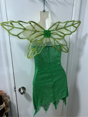 Tinkerbell festival cosplay dress and wings thumbnail 4
