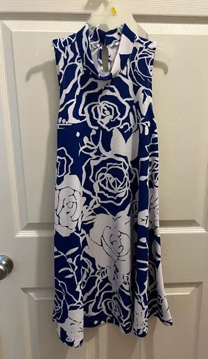 Blue and white dress. Worn once. thumbnail 1
